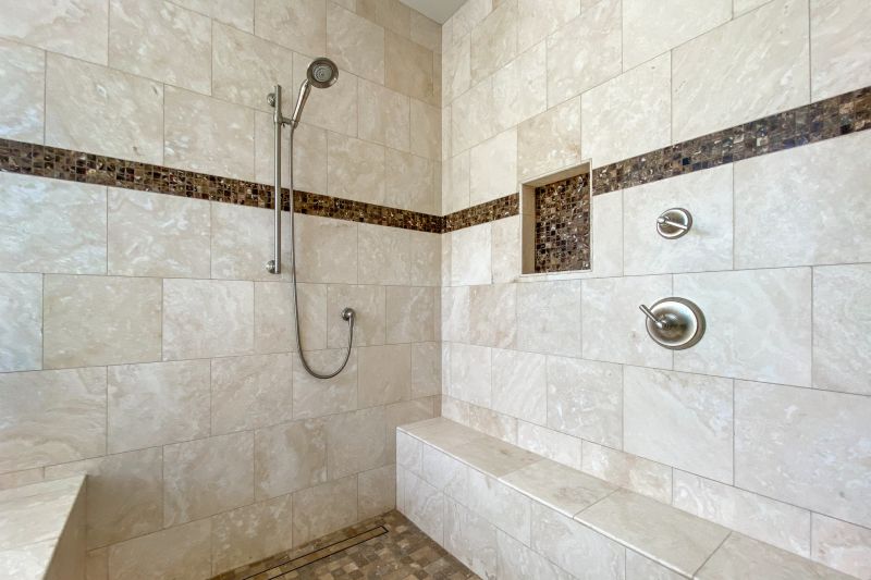 Elegant Shower Niche Designs